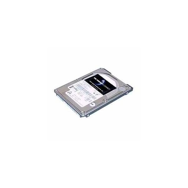 Total Micro 250 GB Hard Drive - 2.5" - SATA (SYNX3343020)