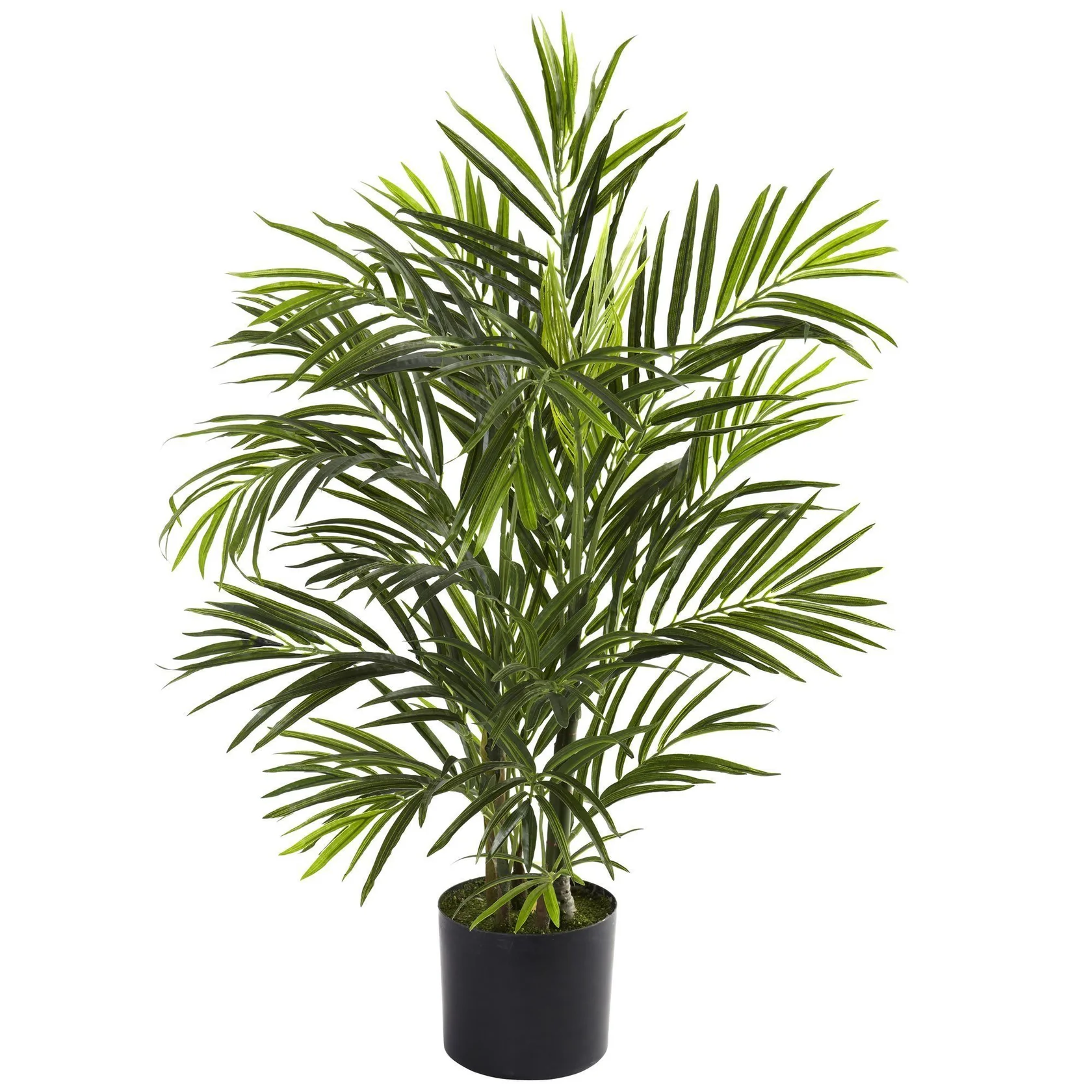 2.5' Areca Palm Tree UV Resistant (Indoor/Outdoor) (5387) - Image 4
