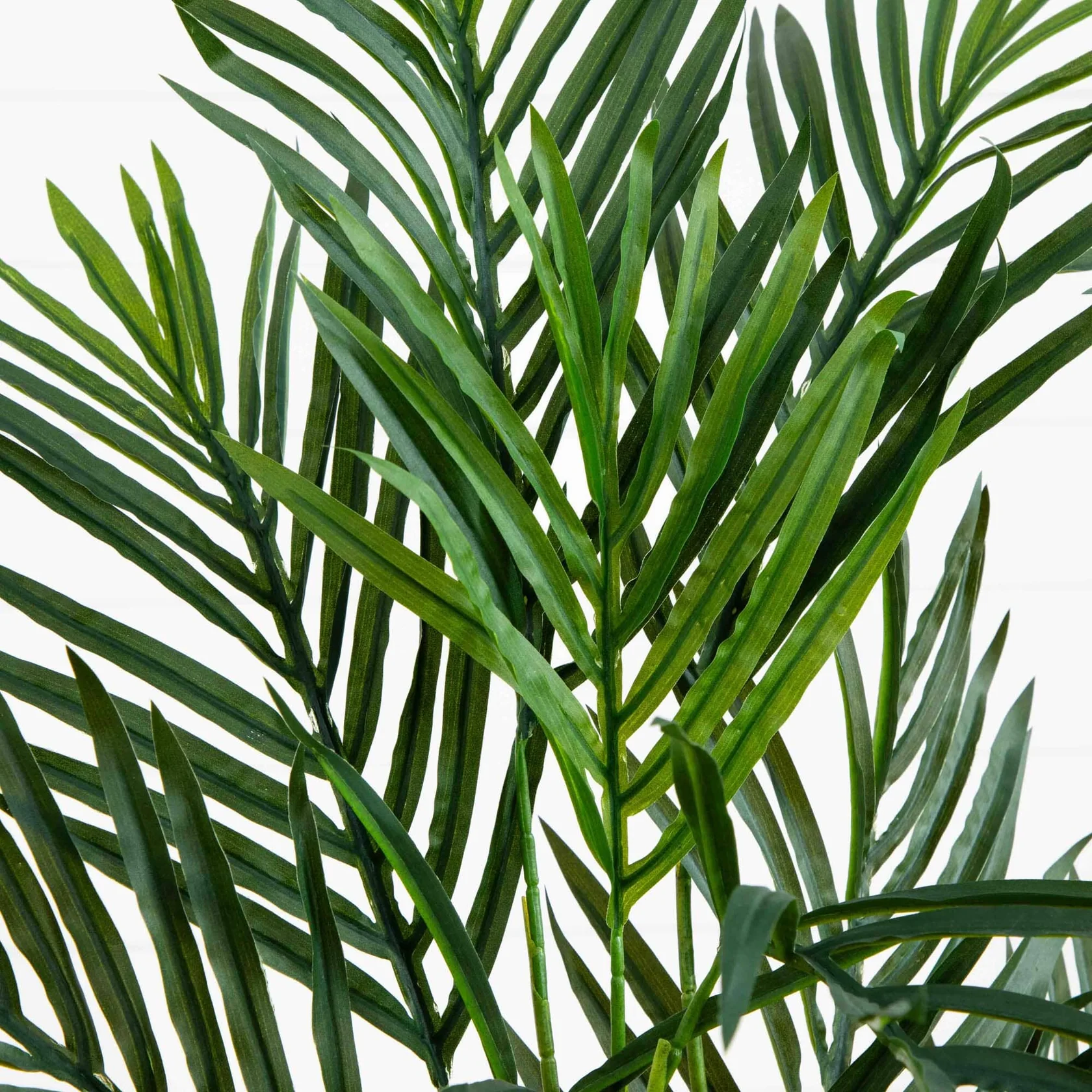 2.5' Areca Palm Tree UV Resistant (Indoor/Outdoor) (5387) - Image 2