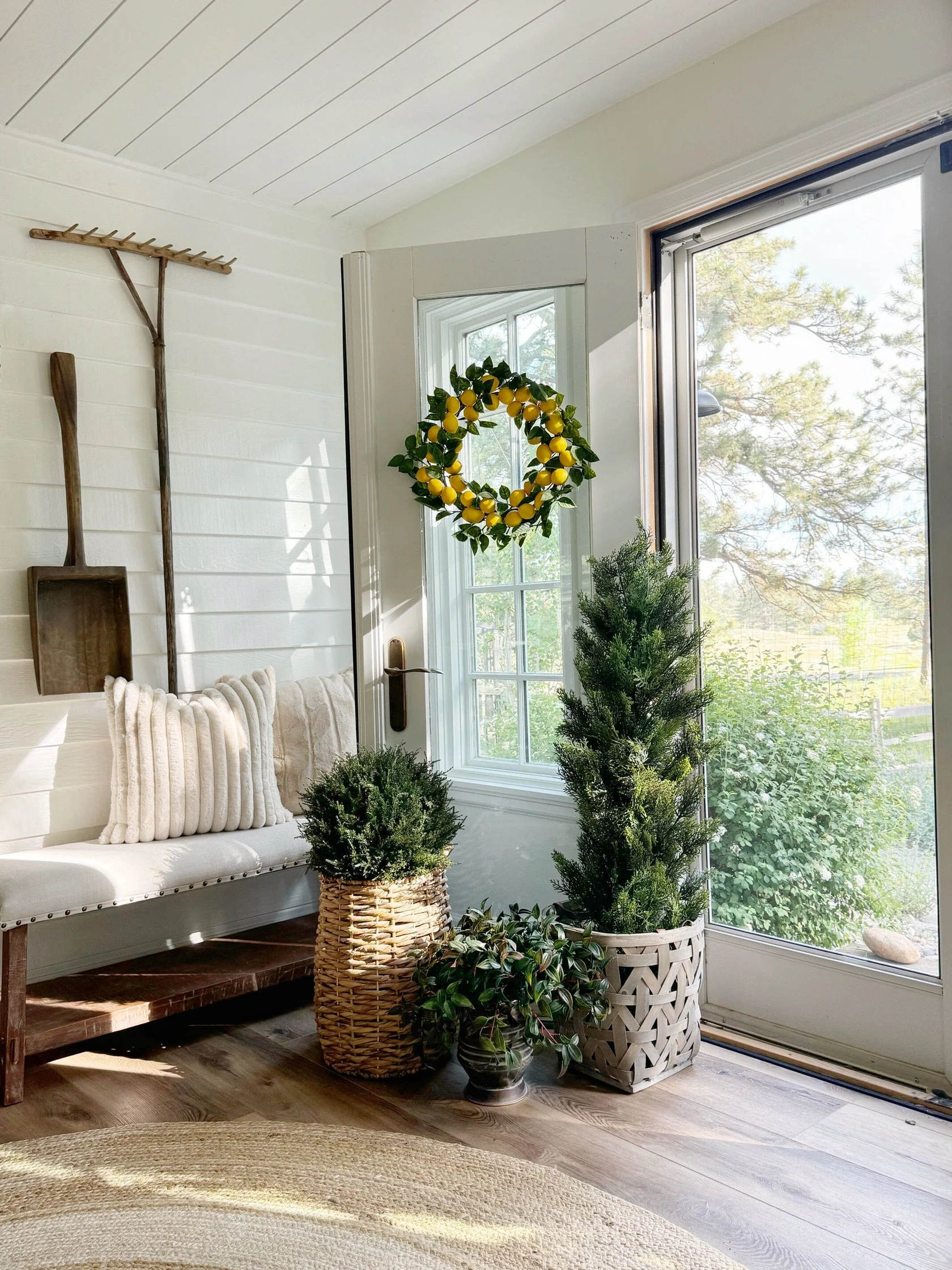 4' Cedar Tree Silk Tree (Indoor/Outdoor) (5172) - Image 4