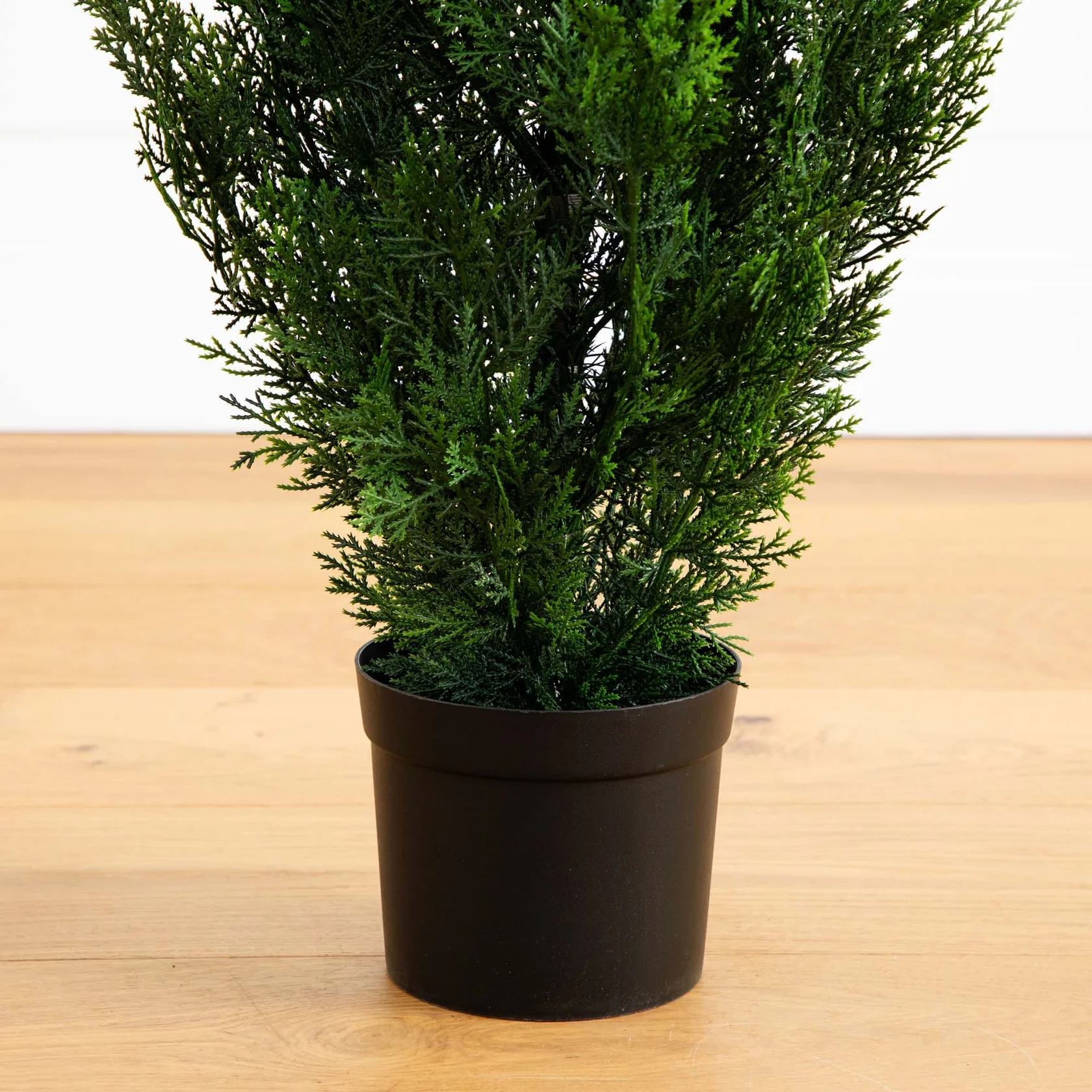 4' Cedar Tree Silk Tree (Indoor/Outdoor) (5172) - Image 3