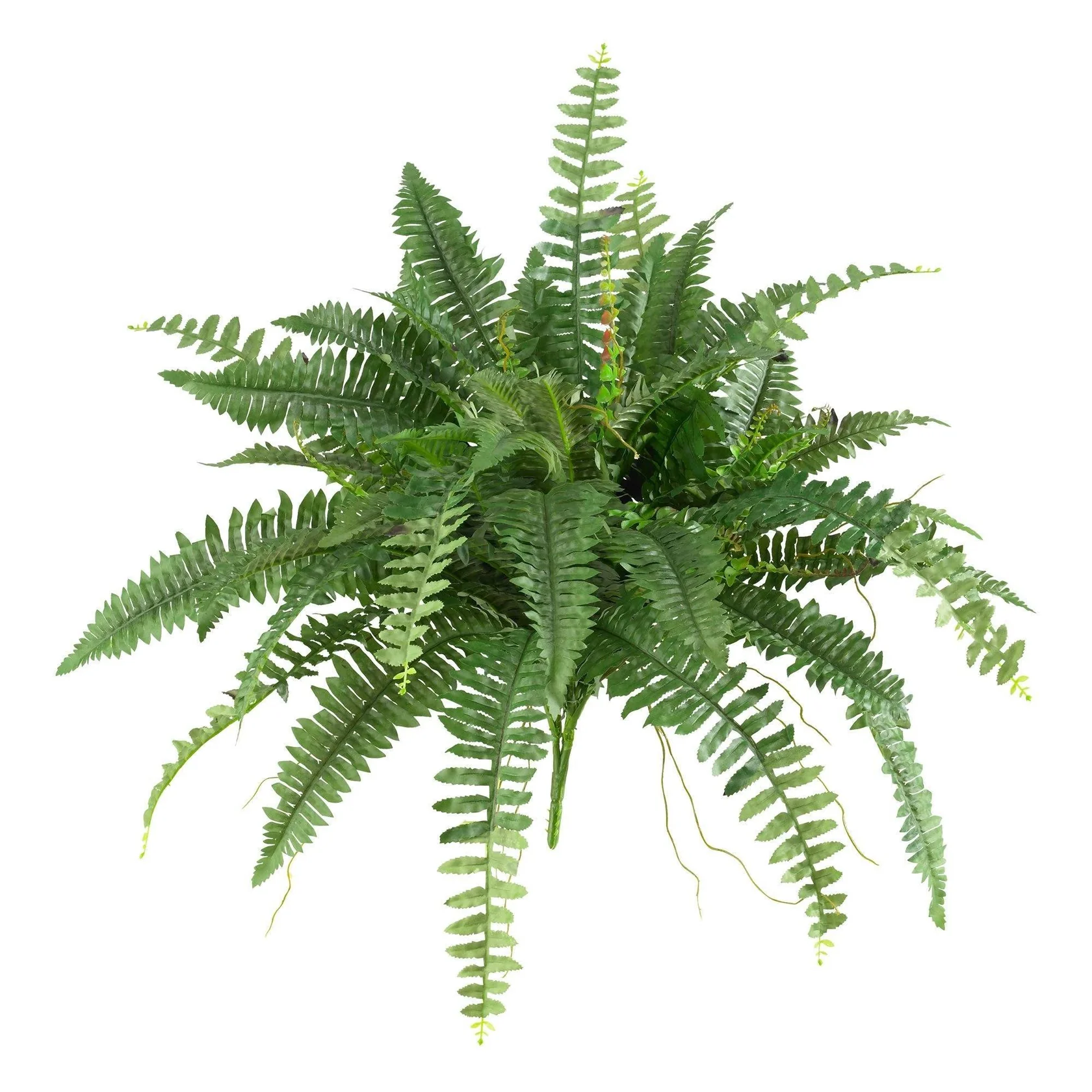 40” Artificial Boston Fern (Set of 2) (6032-S2) - Image 5