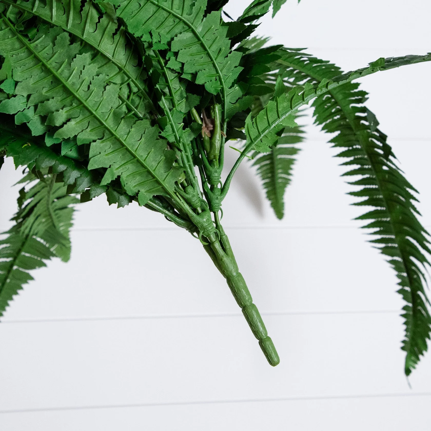 48” Boston Fern (Set of 2) (6051-S2) - Image 4