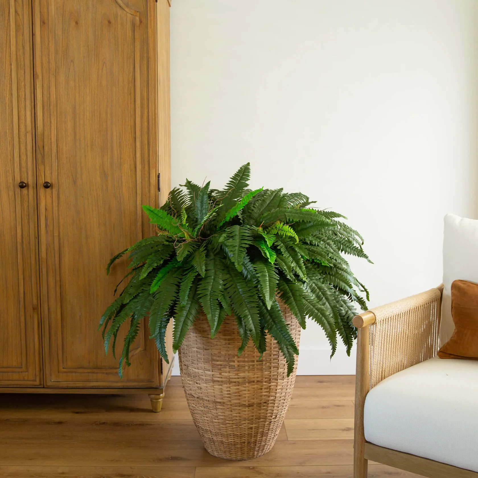 48” Boston Fern (Set of 2) (6051-S2) - Image 7