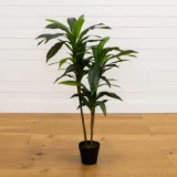 48" Dracaena Silk Plant (Real Touch) (6585)