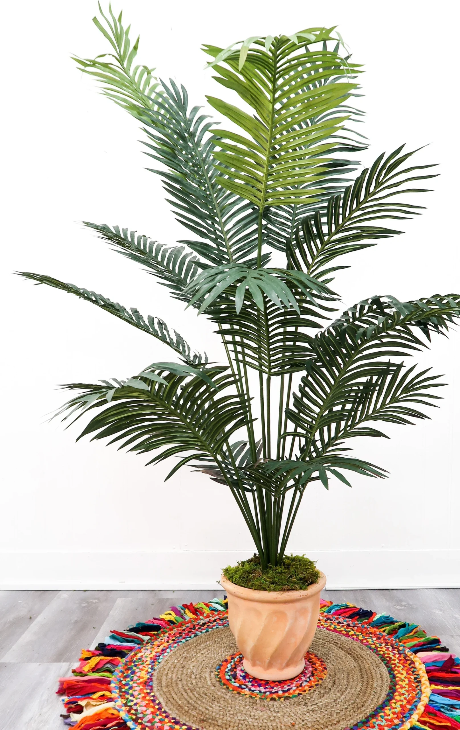 6’ Artificial Paradise Palm Tree (5260) - Image 4