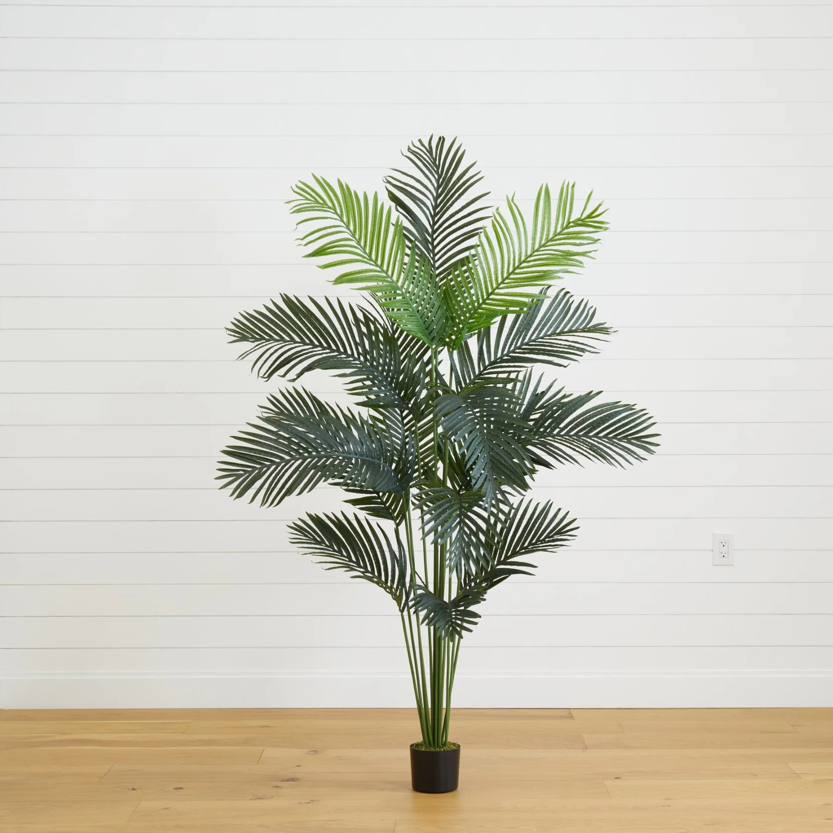 6’ Artificial Paradise Palm Tree (5260)