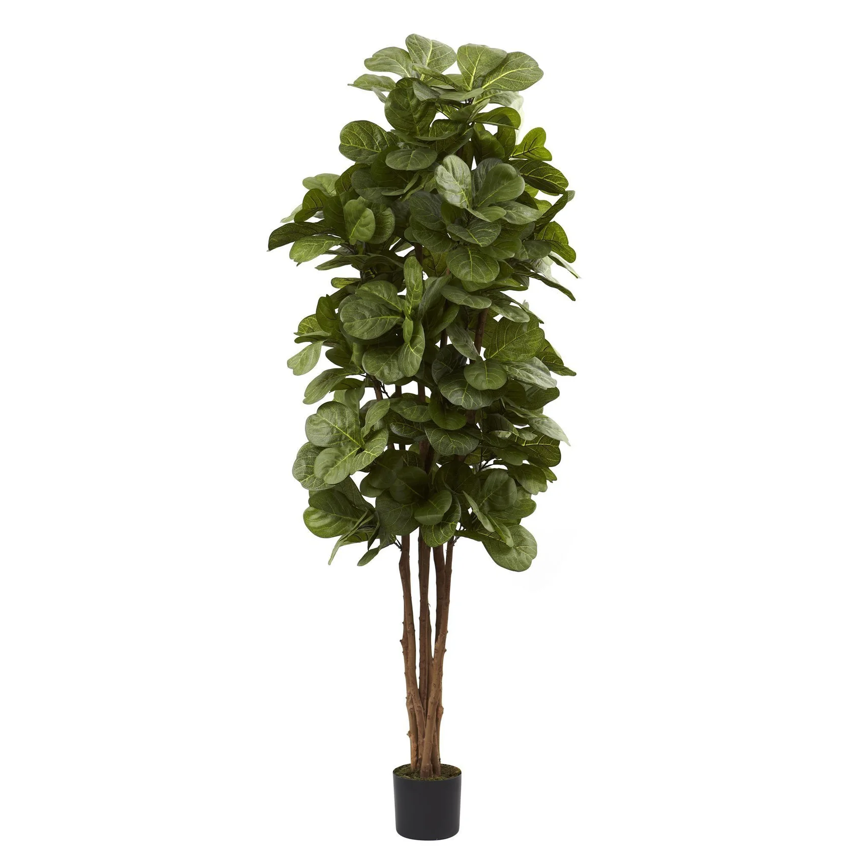 6’ Artificial Fiddle Leaf Fig Tree (5346) - Image 5