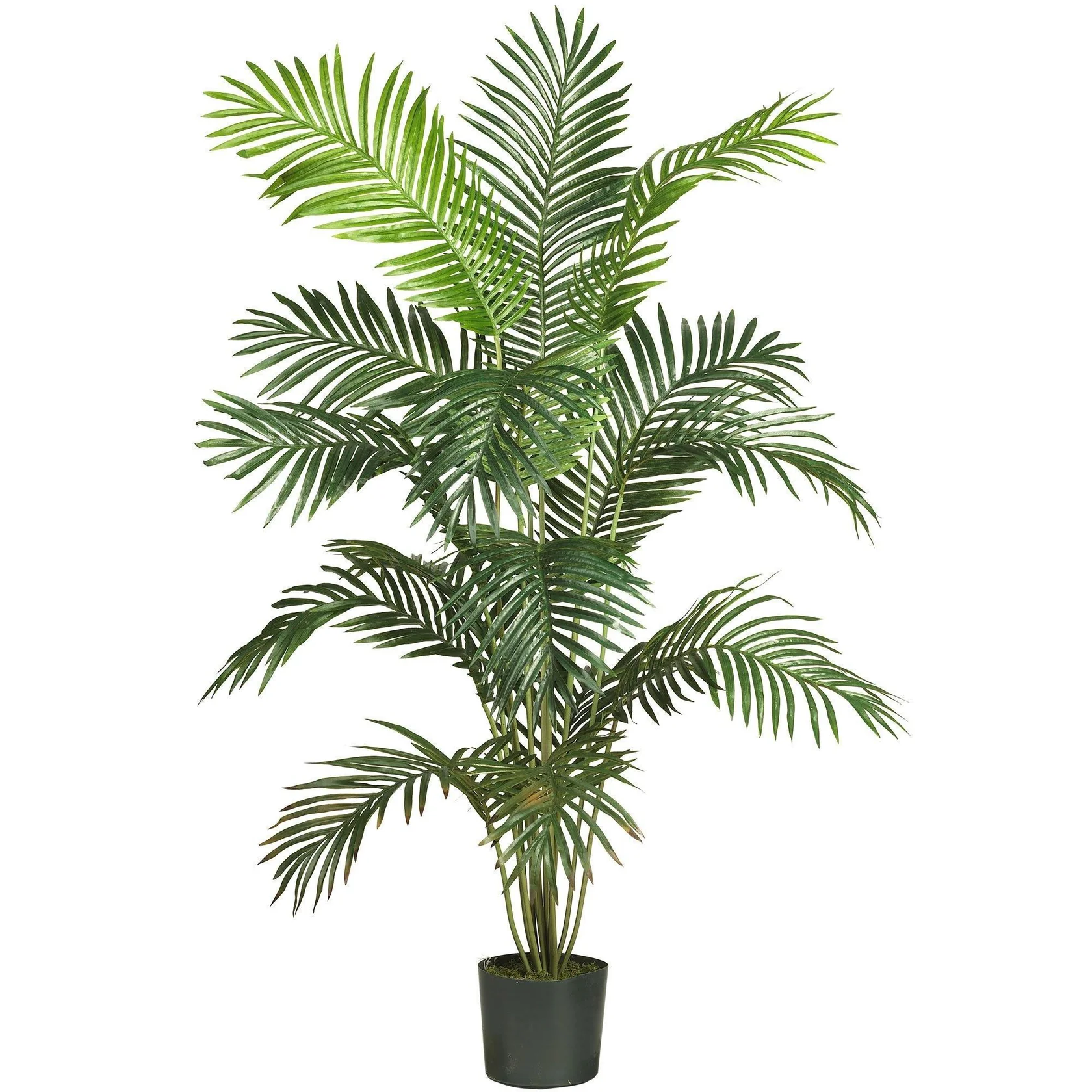 6’ Artificial Paradise Palm Tree (5260) - Image 3