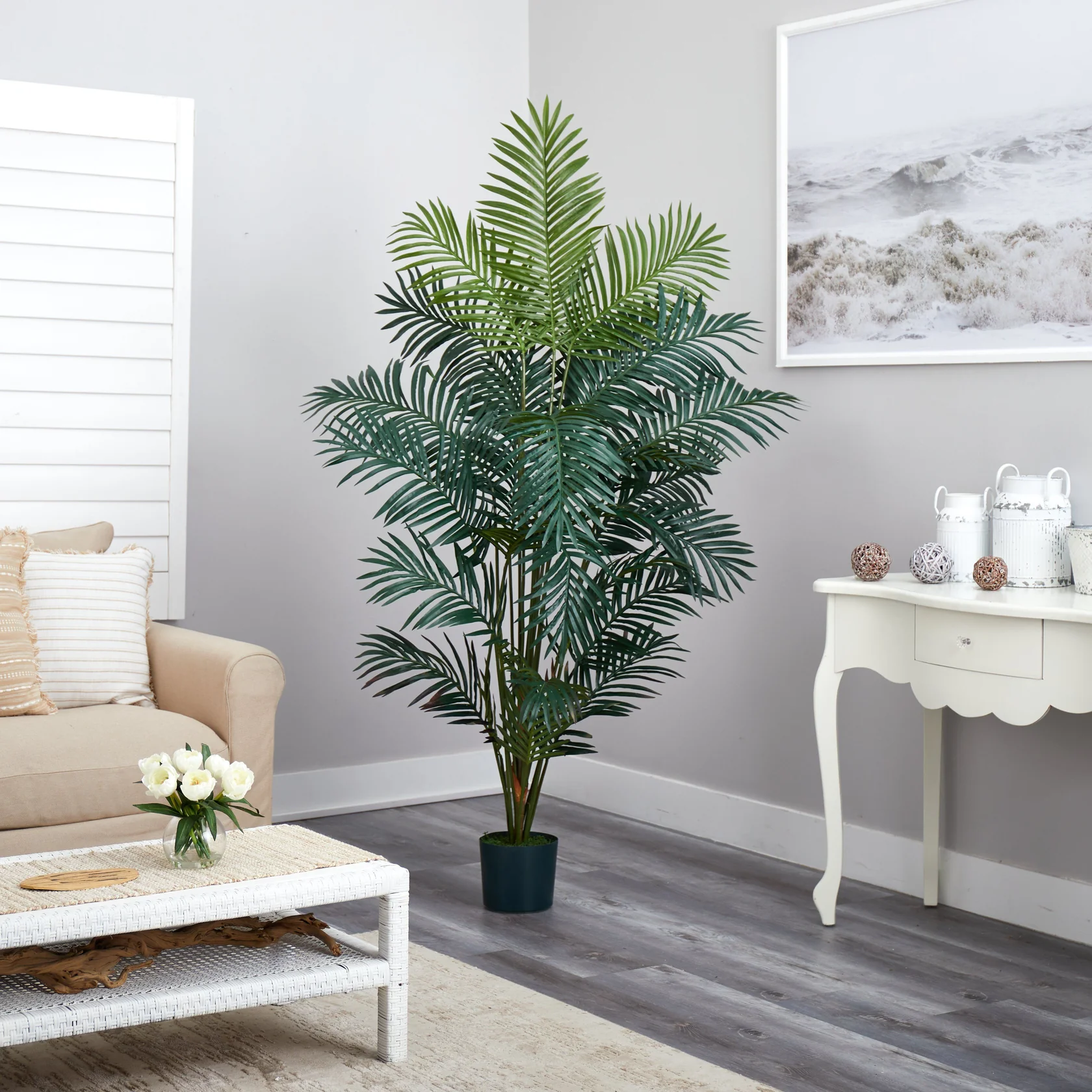 7' Paradise Palm (5261) - Image 4