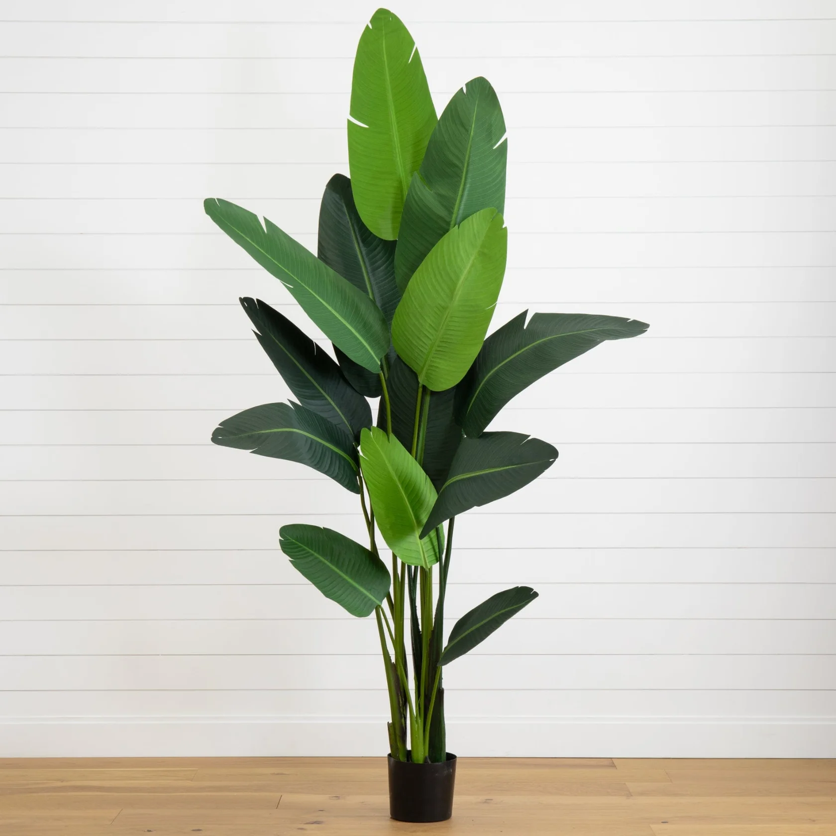 7' Travelers Palm Artificial Tree (5583)