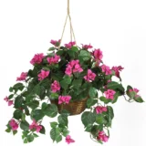 Bougainvillea Hanging Basket Silk Plant (6608)