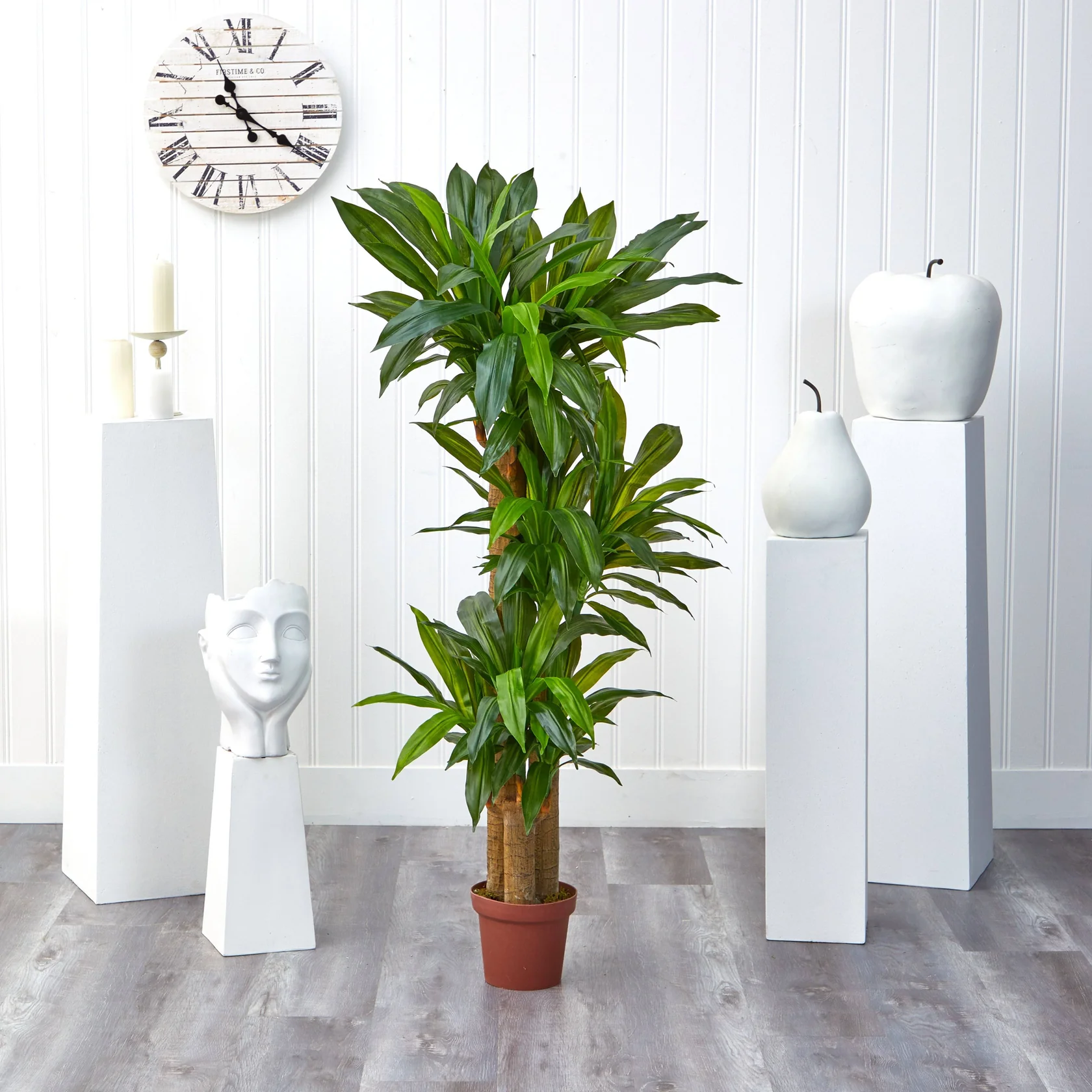 Corn Stalk Dracaena Silk Plant (Real Touch) (6584) - Image 3
