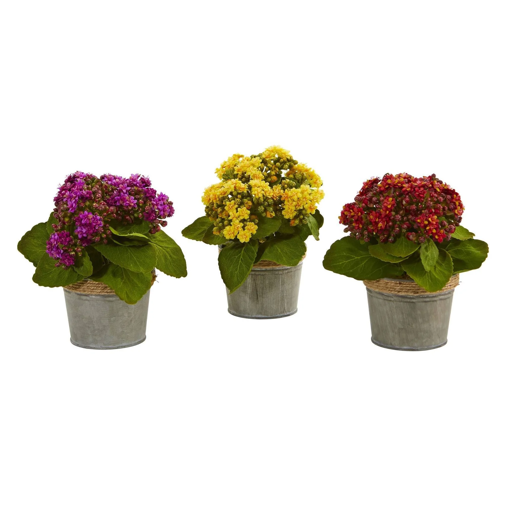 Kalanchoe Artificial Arrangements (Set of 3) (4244-S3) - Image 5