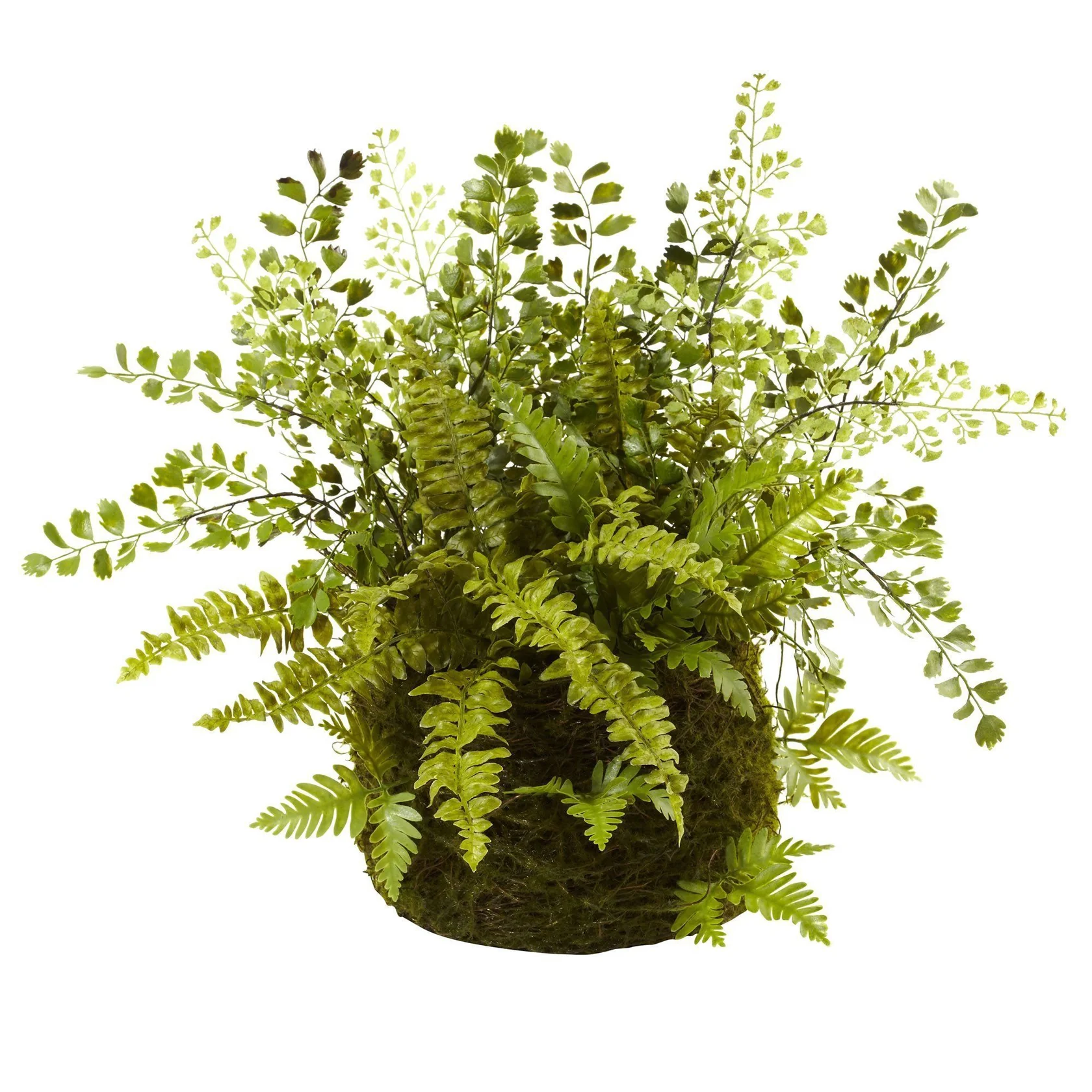 Mixed Fern w/Twig and Moss Basket (4846)