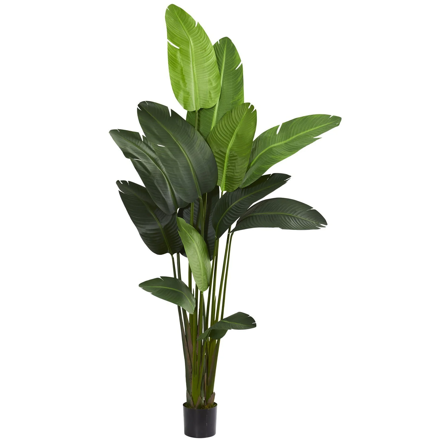 7' Travelers Palm Artificial Tree (5583) - Image 5